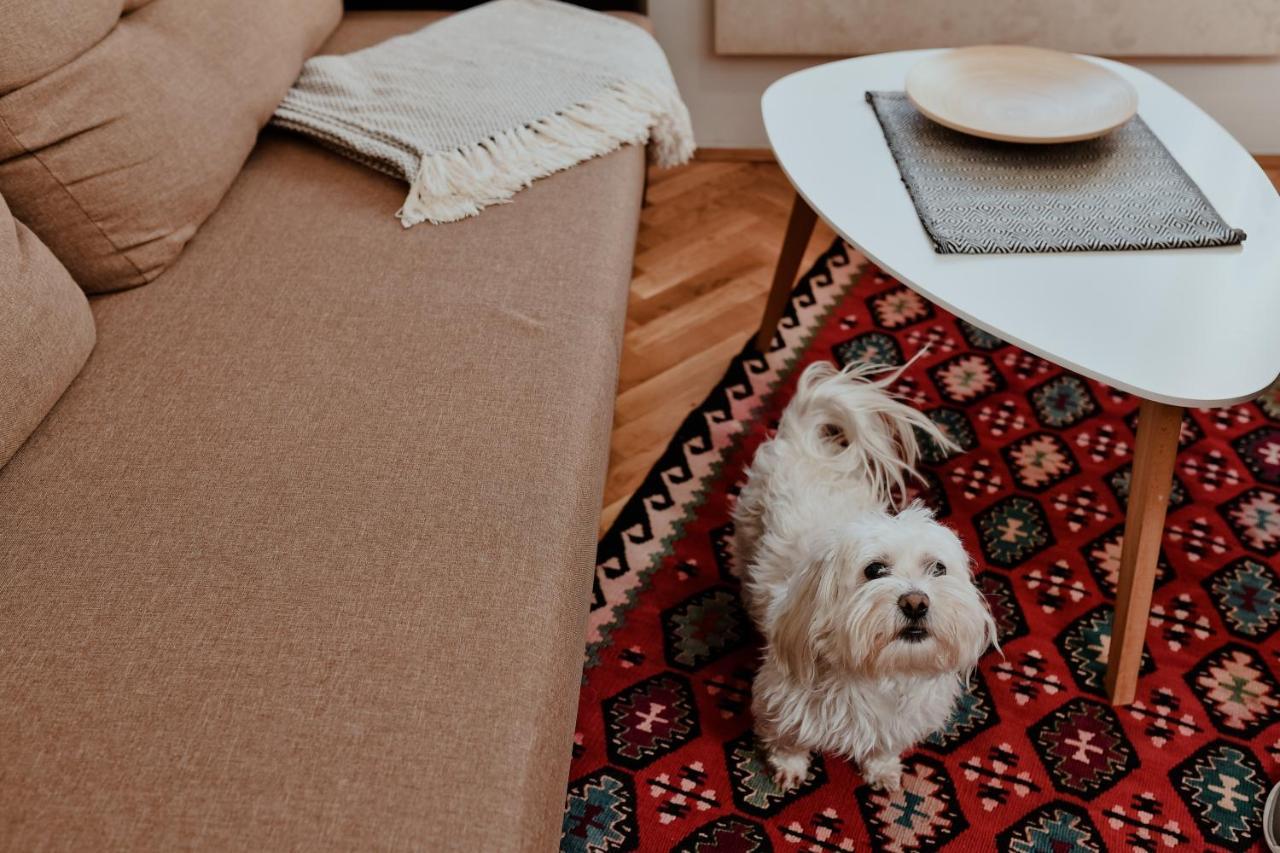 Apartment Suncana Dolina ズラティボール エクステリア 写真