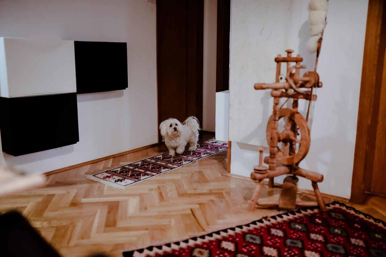Apartment Suncana Dolina ズラティボール エクステリア 写真